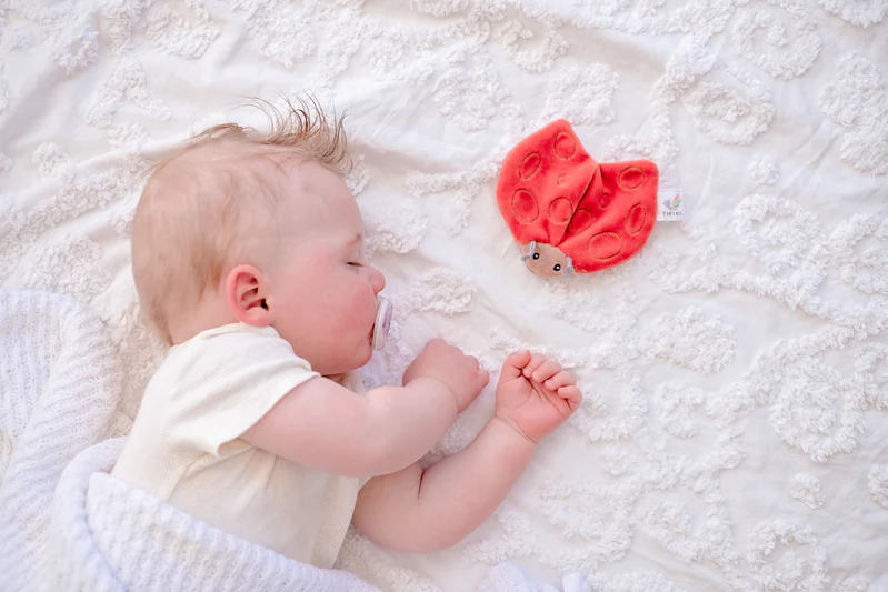 Tikiri - Ladybug Scrunchie Toy - Image 4