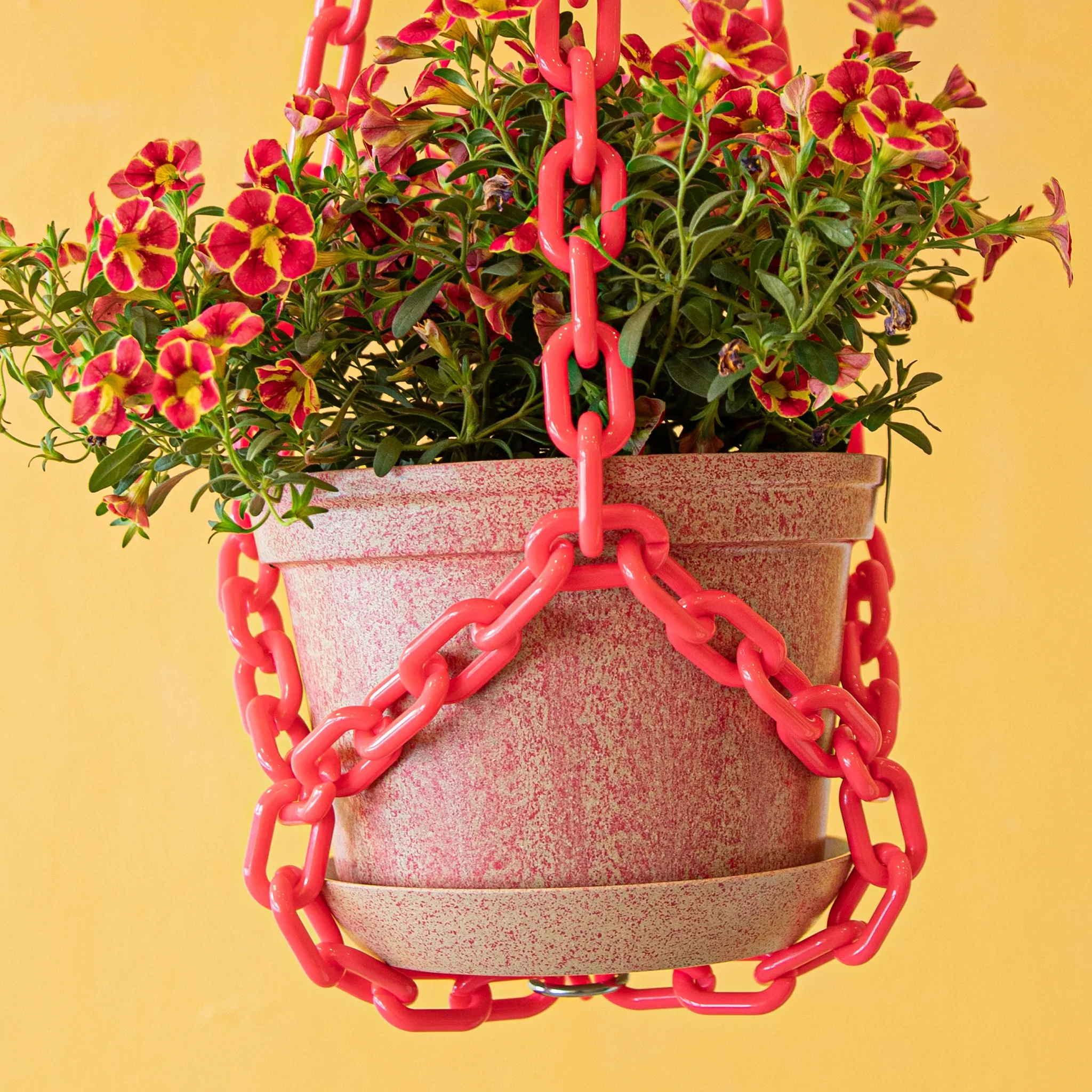 Woljam - Sundae Series Planter - Cherry - Image 3