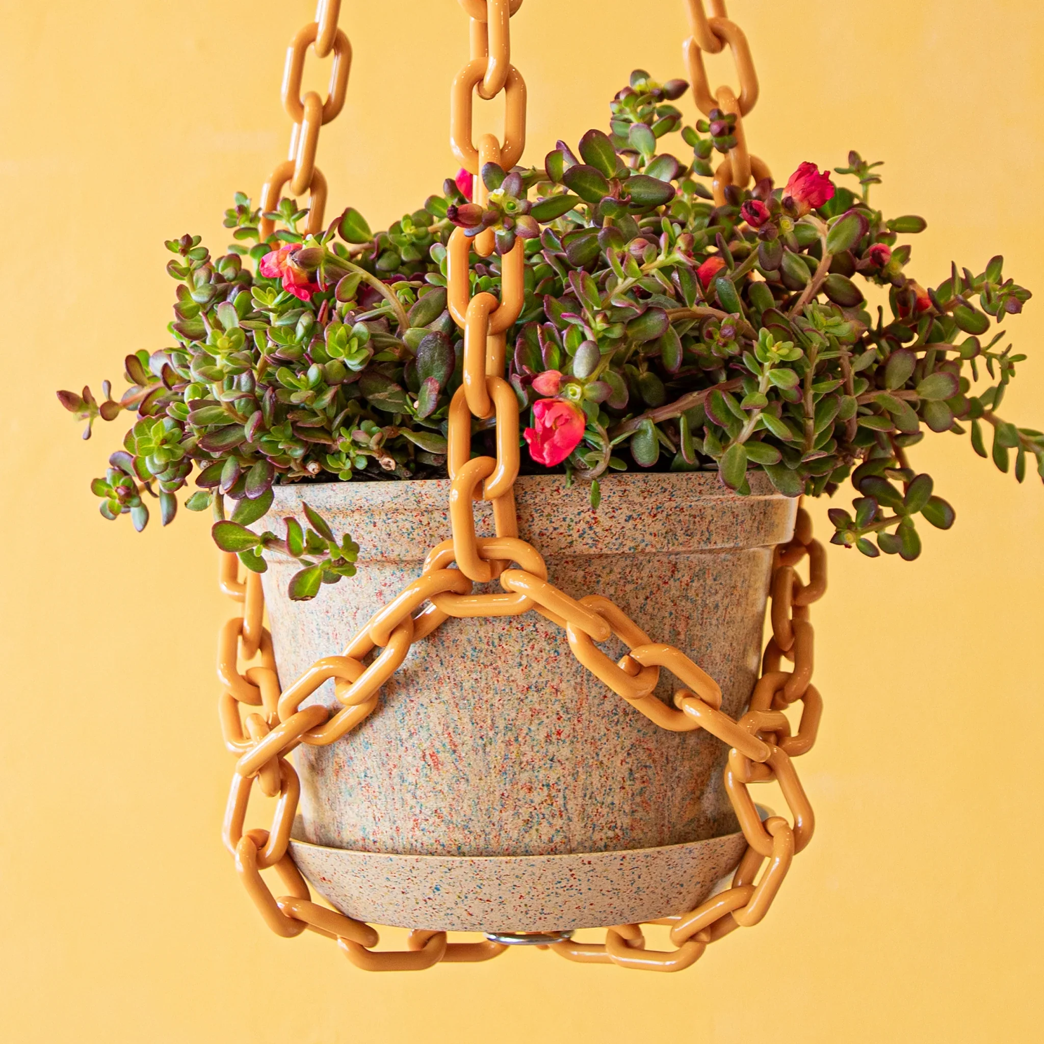 Woljam - Sundae Series Planter - Confetti - Image 2